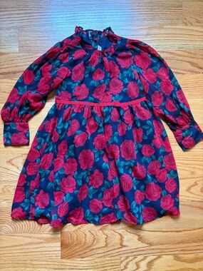 Janie and Jack long sleeve rose print dress size 6